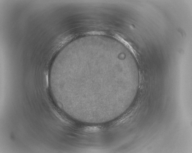 X0000115580061200912221057