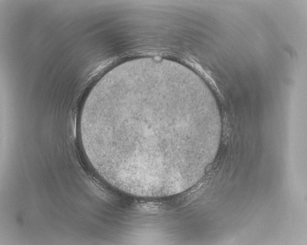 X0000115580062200912221057