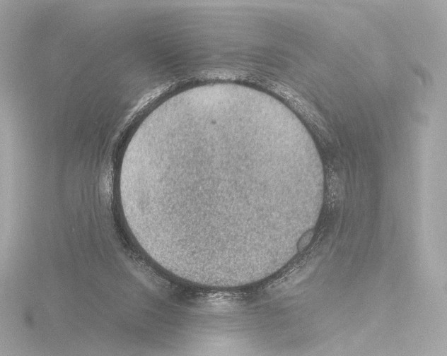 X0000115580064200912221057