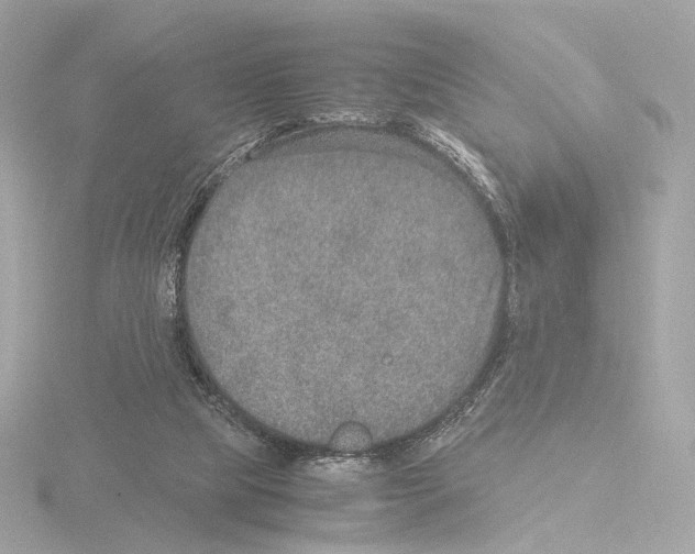 X0000115580065200912221057