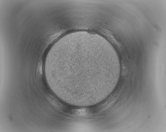 X0000115580068200912221057