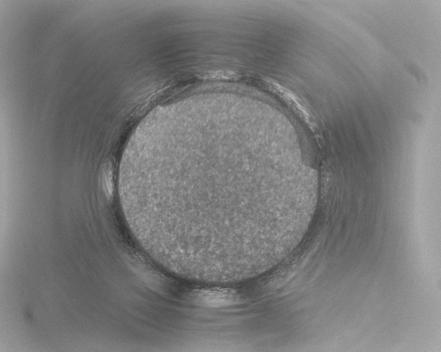 X0000115580069200912221057