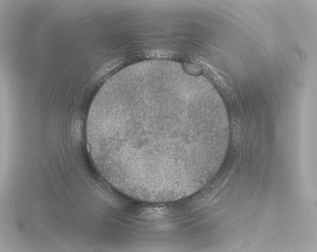 X0000115580071200912221057