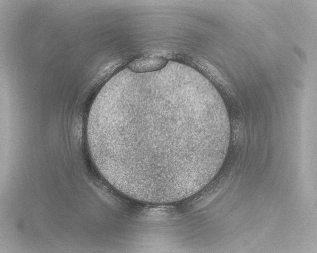 X0000115580072200912221057