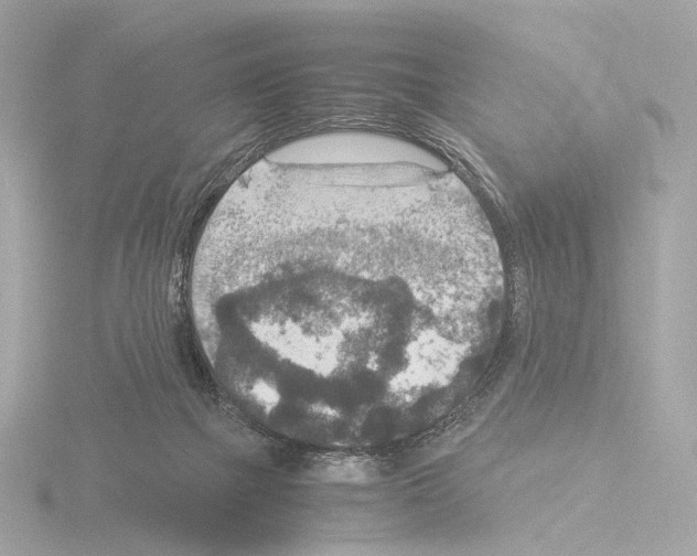 X0000115580073200912221057