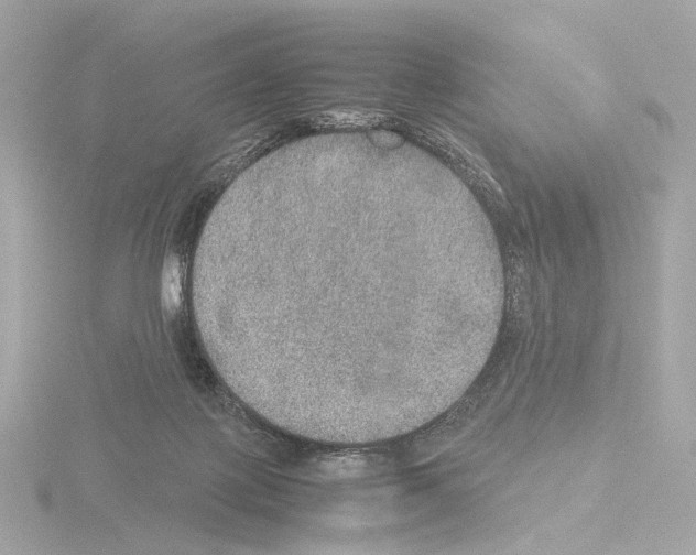 X0000115580075200912221057