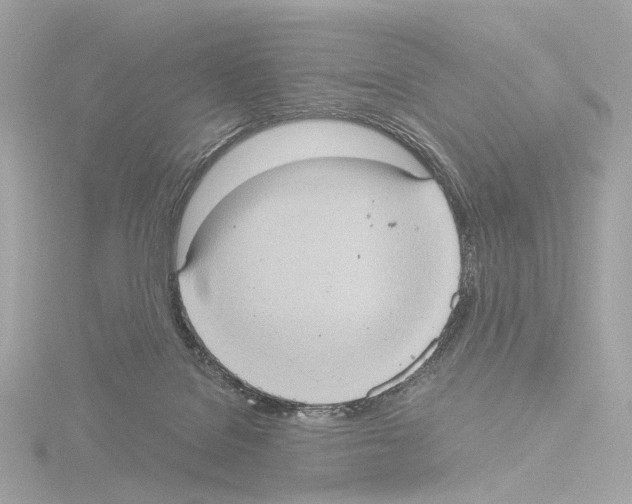 X0000115580076200912221057