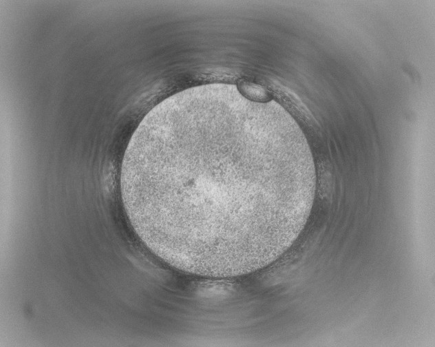 X0000115580077200912221057