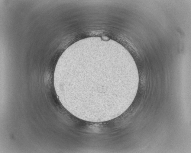 X0000115580079200912221057