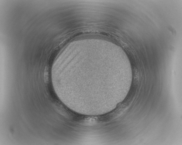 X0000115580080200912221057