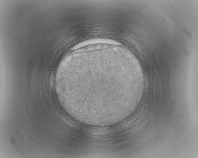 X0000115580081200912221057