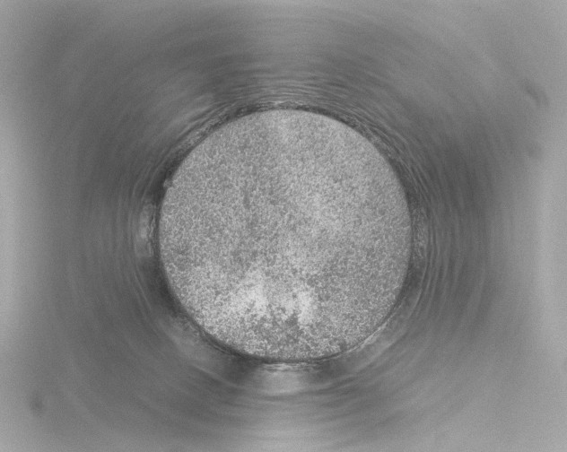 X0000115580082200912221057