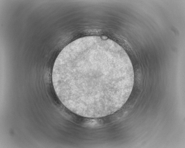 X0000115580083200912221057