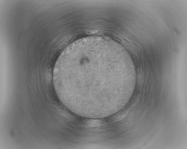 X0000115580085200912221057