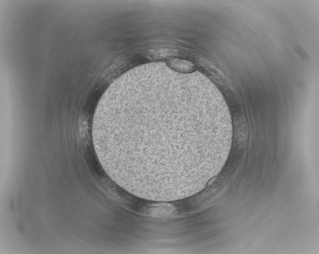 X0000115580087200912221057