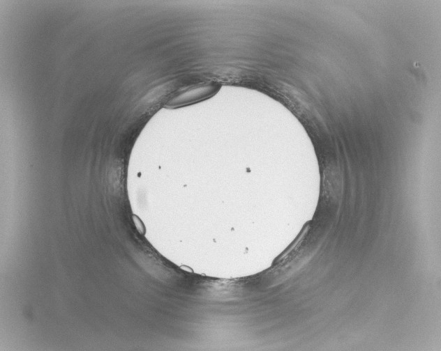 X0000115580092200912221057