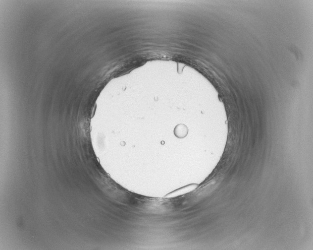 X0000115580096200912221057