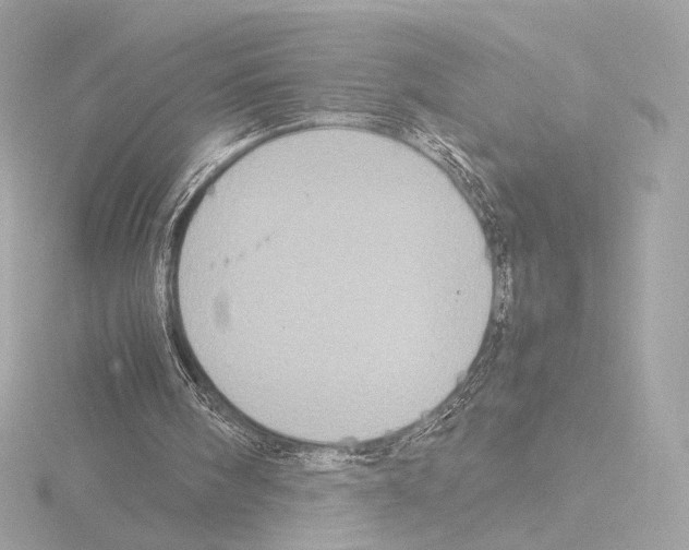 X0000115580098200912221057