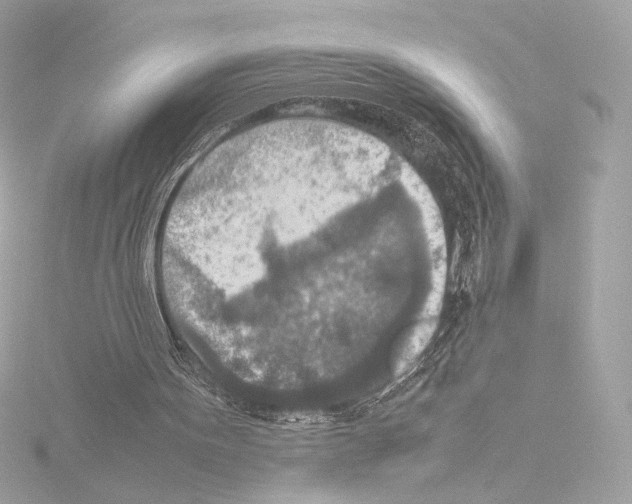 X0000115580099200912221057