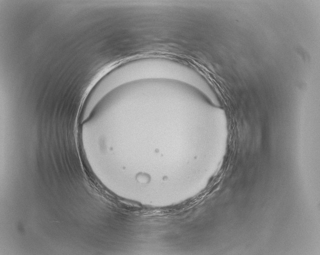 X0000115580100200912221057