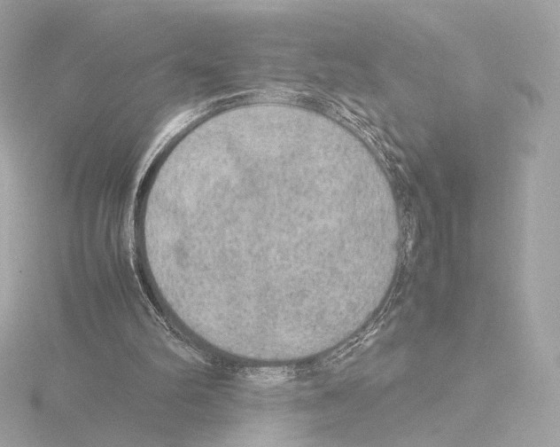 X0000115580102200912221057