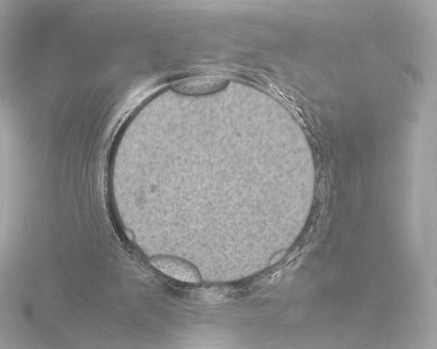 X0000115580103200912221056