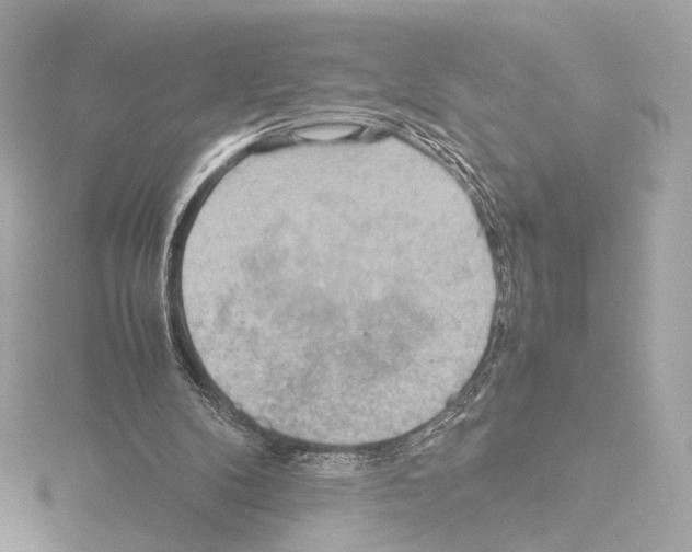 X0000115580104200912221056