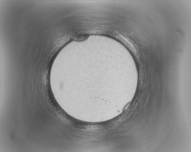 X0000115580105200912221056