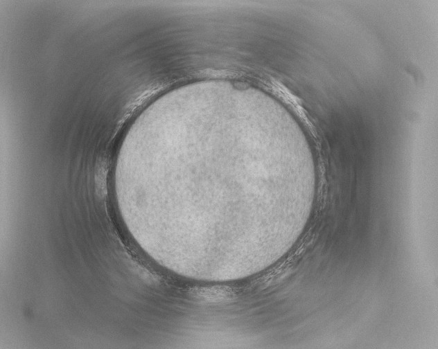 X0000115580106200912221056