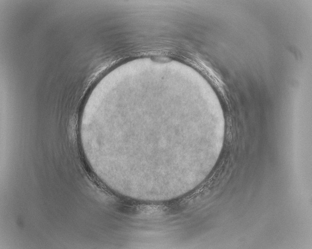 X0000115580107200912221056