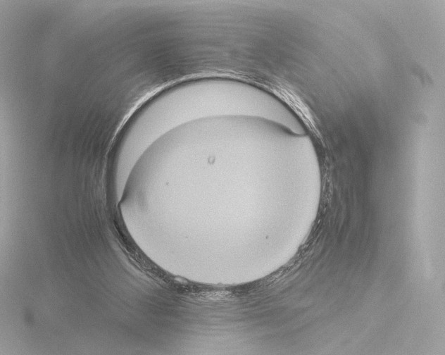 X0000115580108200912221056