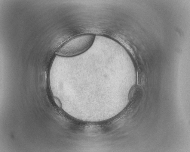 X0000115580109200912221056