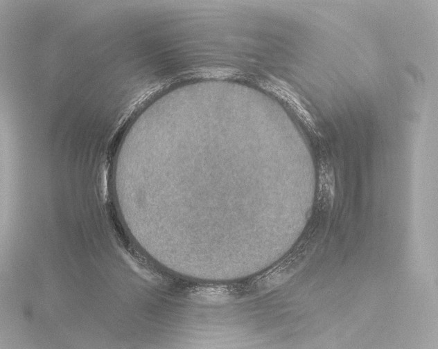 X0000115580110200912221056