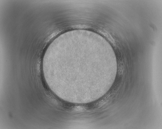 X0000115580111200912221056