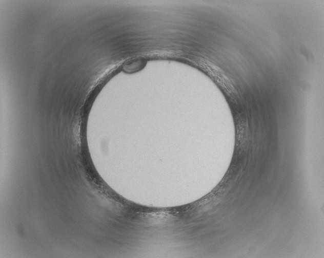 X0000115580112200912221056