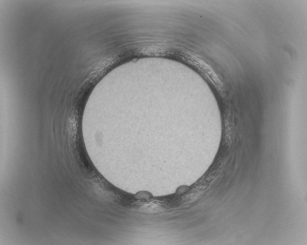 X0000115580113200912221056