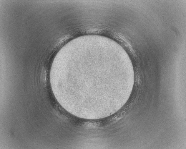 X0000115580115200912221056