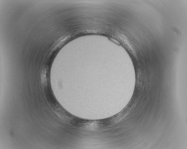 X0000115580116200912221056