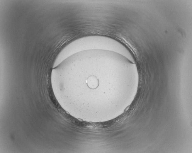 X0000115580117200912221056