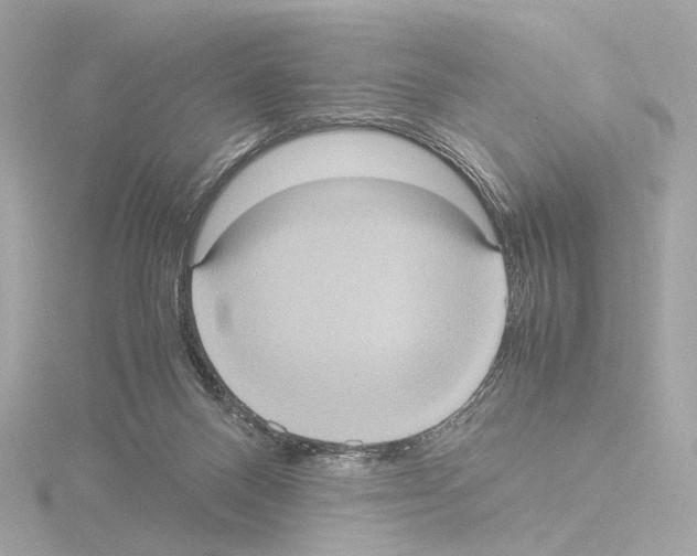 X0000115580120200912221056