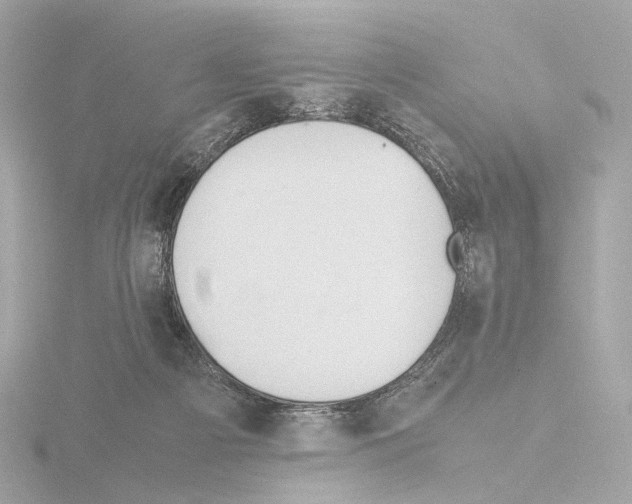 X0000115580121200912221056