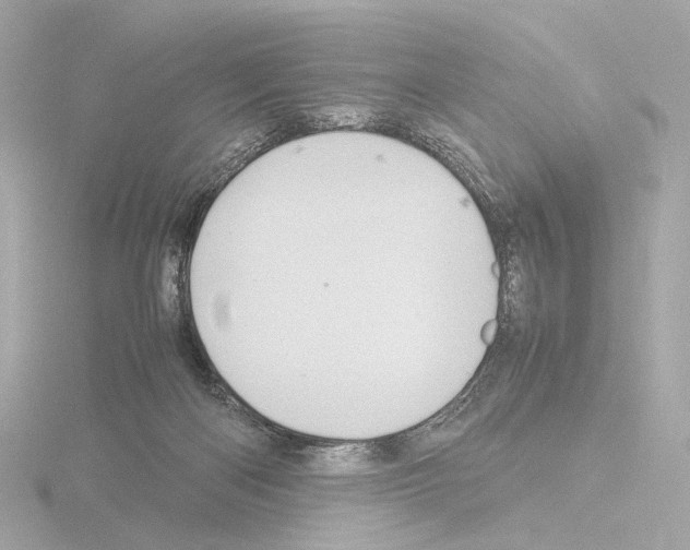 X0000115580122200912221056