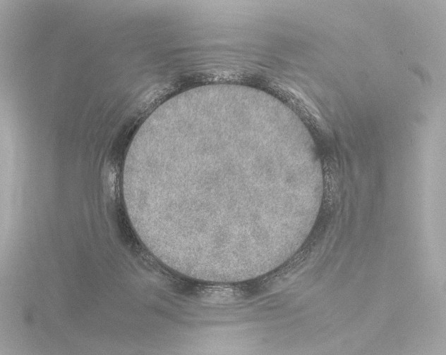 X0000115580123200912221056