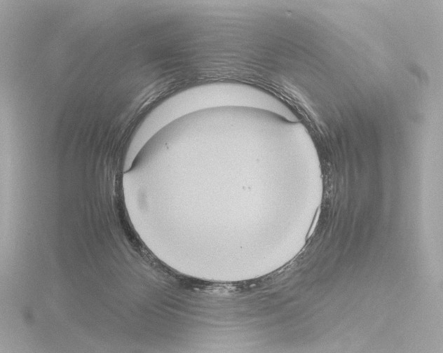 X0000115580124200912221056