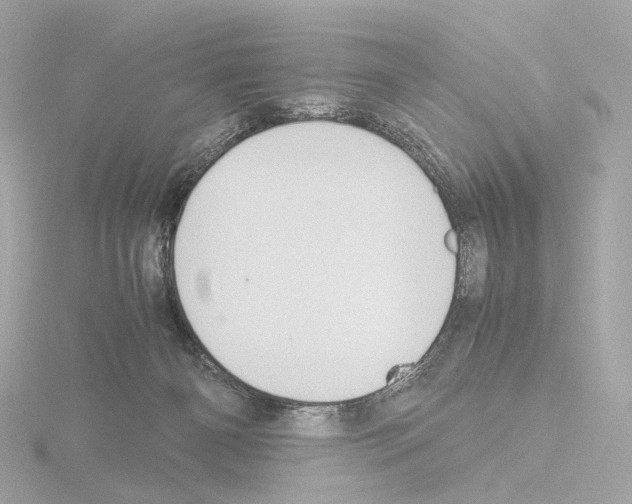 X0000115580126200912221056