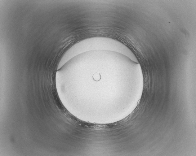 X0000115580128200912221056