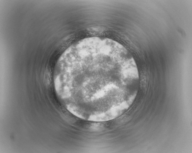 X0000115580130200912221056