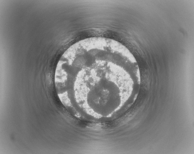 X0000115580131200912221056