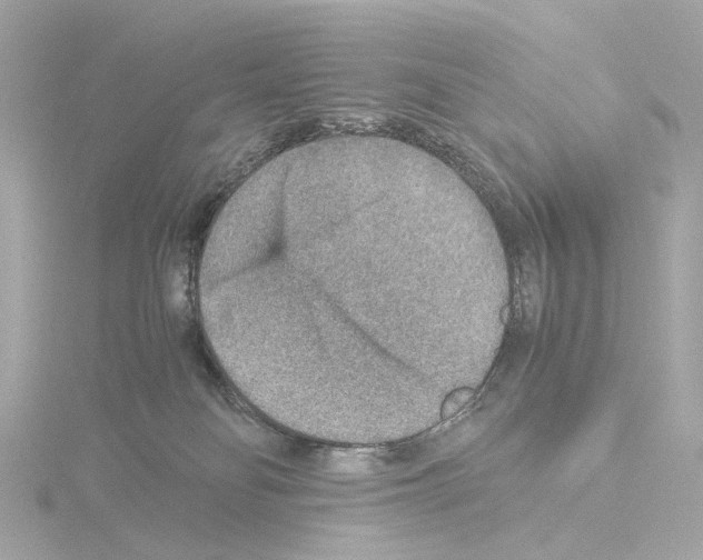 X0000115580134200912221056