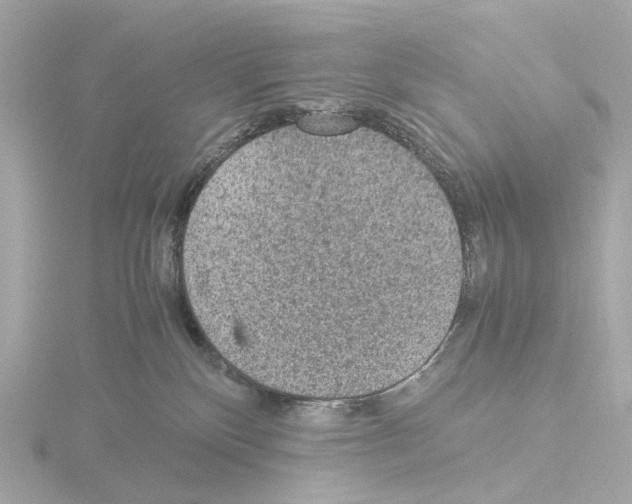 X0000115580136200912221056